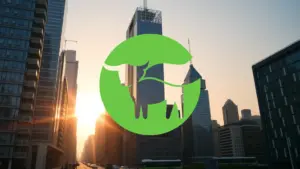 Beyond Meat: ¿Euforia Injustificada en el Mercado?