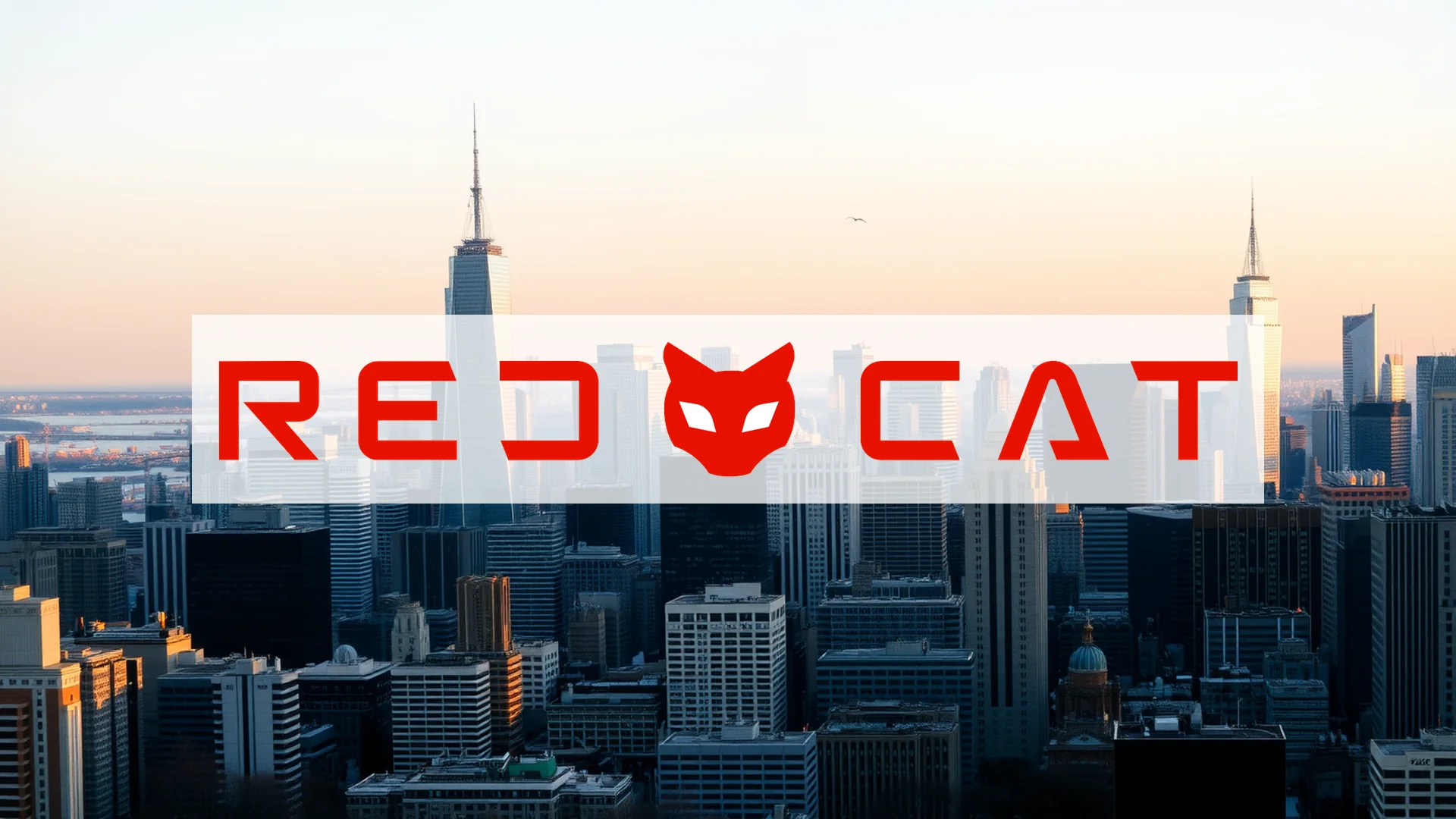 Red Cat: Un fin de semana crucial para la acción del fabricante de drones
