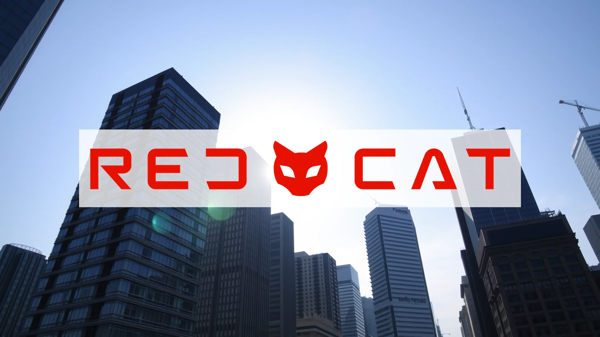 Red Cat: Crecimiento estratosférico en ventas, pero con nubarrones en el horizonte