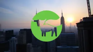 Beyond Meat: Una apuesta estratégica en medio de la tormenta financiera